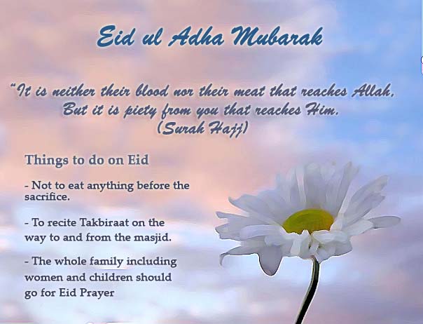 Name:  eid-ul-adha-card.jpg
Views: 404
Size:  57.1 KB