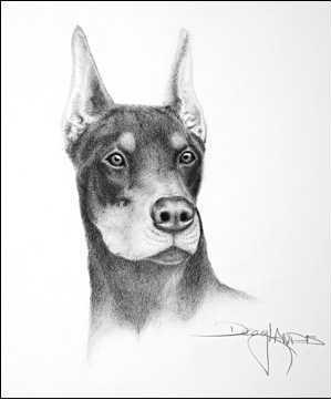 Name:  1.JPG
Views: 276
Size:  11.3 KB