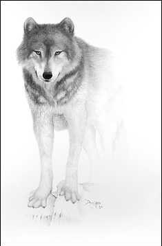 Name:  4.JPG
Views: 263
Size:  8.4 KB