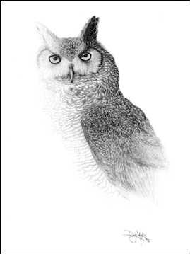 Name:  6.JPG
Views: 253
Size:  10.7 KB