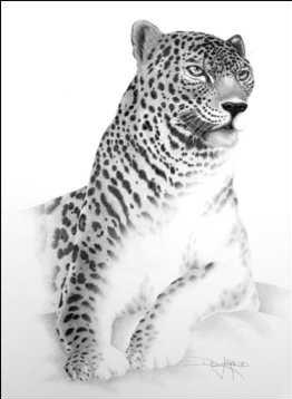 Name:  7.JPG
Views: 289
Size:  13.4 KB