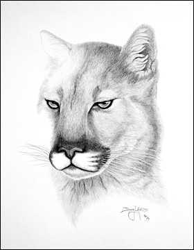 Name:  8.JPG
Views: 295
Size:  13.0 KB