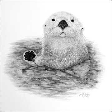 Name:  10.JPG
Views: 252
Size:  20.1 KB