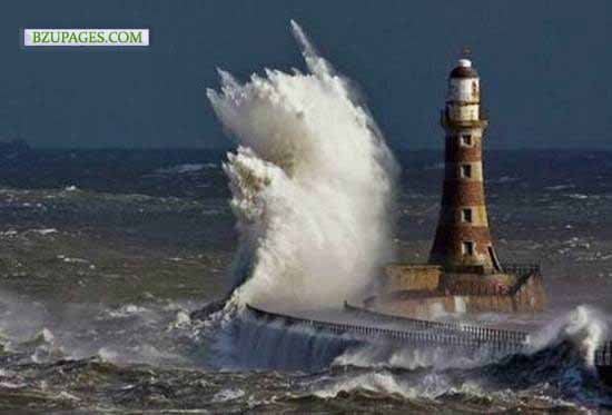 Name:  Funny Picture (20).jpg
Views: 2754
Size:  32.9 KB