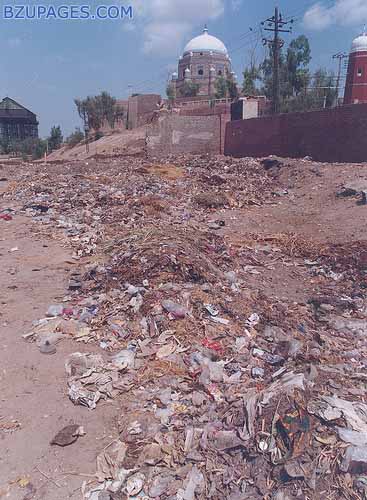 Name:  garbage near fort.jpg
Views: 6083
Size:  65.0 KB