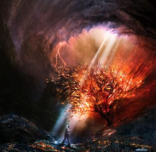 Name:  9.JPG
Views: 397
Size:  39.7 KB