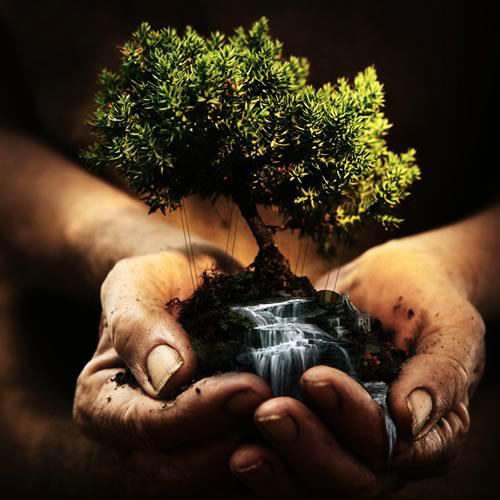 Name:  11.JPG
Views: 401
Size:  38.1 KB