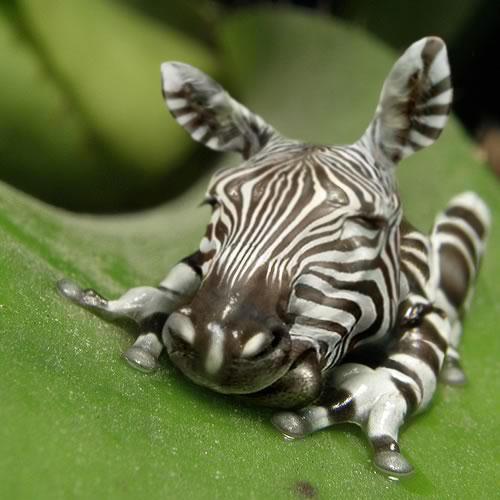 Name:  12.JPG
Views: 417
Size:  35.0 KB