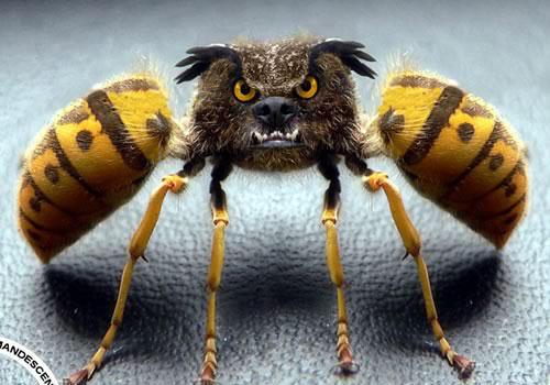 Name:  14.JPG
Views: 429
Size:  35.1 KB