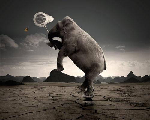 Name:  28.JPG
Views: 409
Size:  25.7 KB