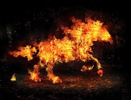 Name:  32.JPG
Views: 407
Size:  32.3 KB