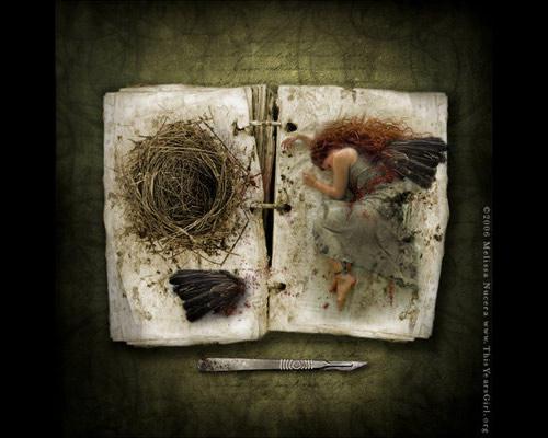 Name:  35.JPG
Views: 381
Size:  29.5 KB