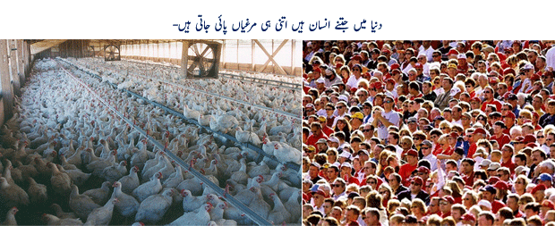 Name:  1zbyr13.gif
Views: 346
Size:  123.9 KB