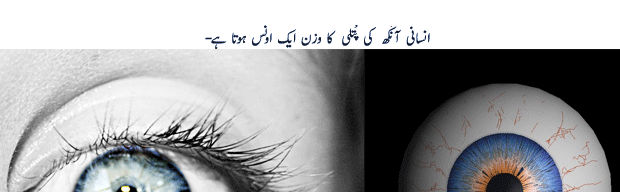 Name:  21jcfo3.gif
Views: 274
Size:  46.6 KB