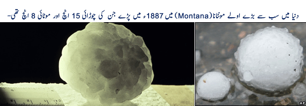 Name:  oti49c.gif
Views: 277
Size:  61.0 KB