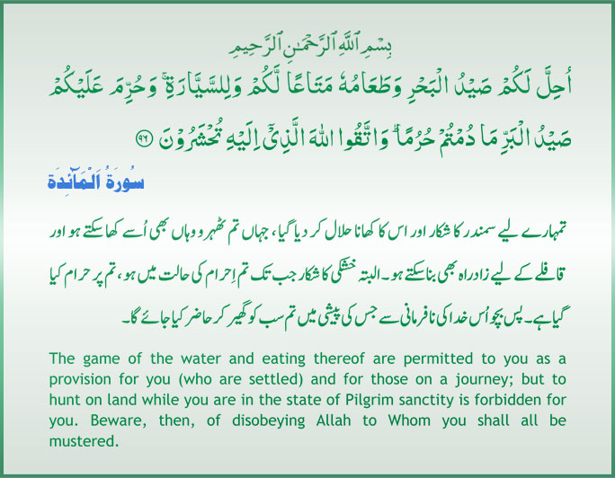 Name:  ATT00002.jpg
Views: 1433
Size:  81.8 KB