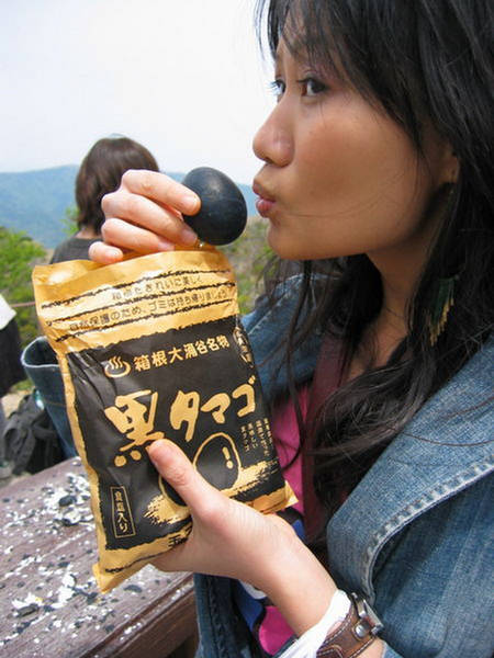 Name:  owakudani-boiling-volcanic-valley-japan (10).jpg
Views: 589
Size:  51.6 KB