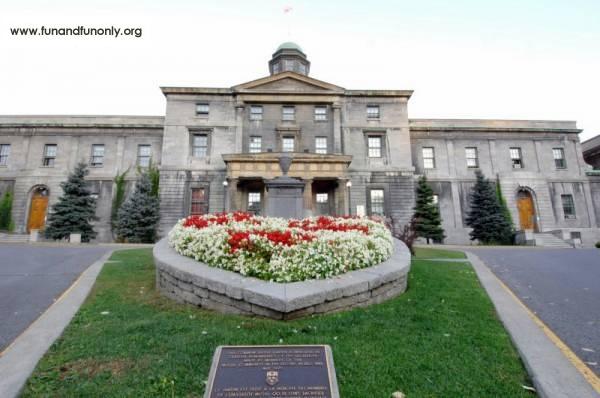 Name:  8.jpg
Views: 813
Size:  38.2 KB