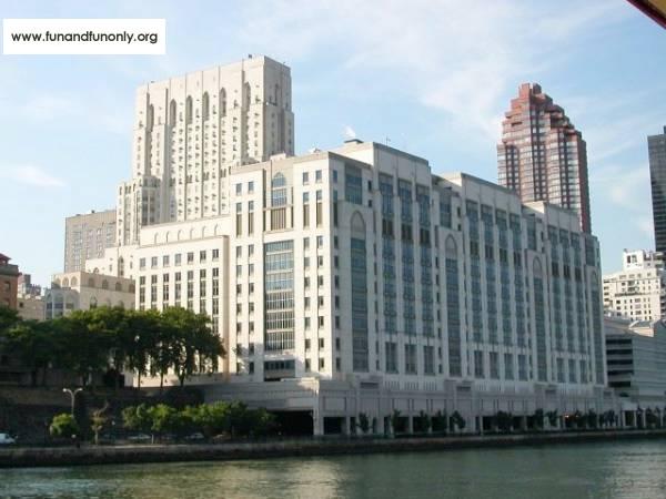 Name:  11.jpg
Views: 3797
Size:  41.6 KB