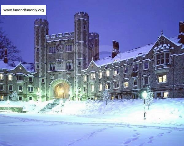 Name:  18.jpg
Views: 728
Size:  48.1 KB