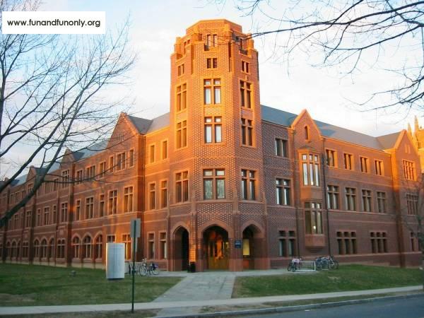 Name:  23.jpg
Views: 704
Size:  54.4 KB