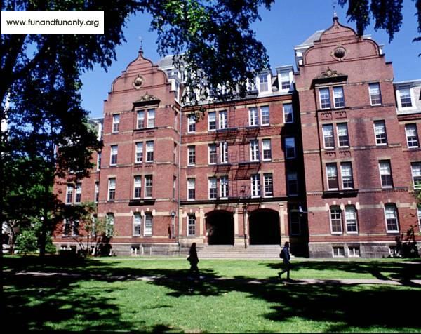 Name:  25.jpg
Views: 719
Size:  71.0 KB