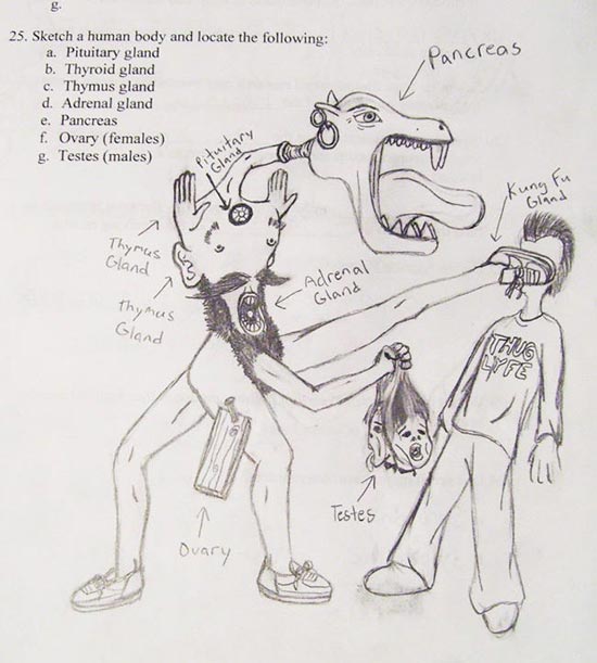 Name:  funny_exam_answers_2.jpg
Views: 2068
Size:  50.3 KB