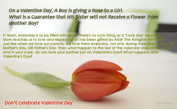 Name:  valentine-day-bypasha.jpg
Views: 938
Size:  154.8 KB