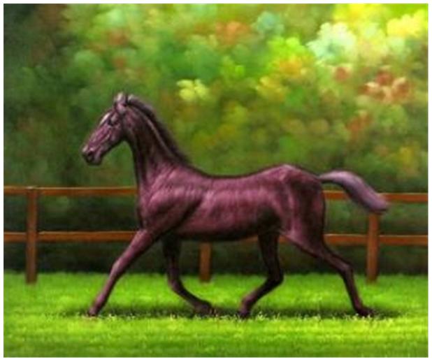 Name:  11.JPG
Views: 673
Size:  36.2 KB