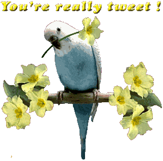 Name:  you are really tweet.gif
Views: 451
Size:  35.7 KB