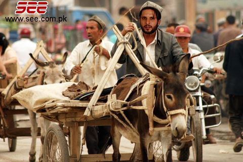 Name:  pic16541.jpg
Views: 300
Size:  188.6 KB