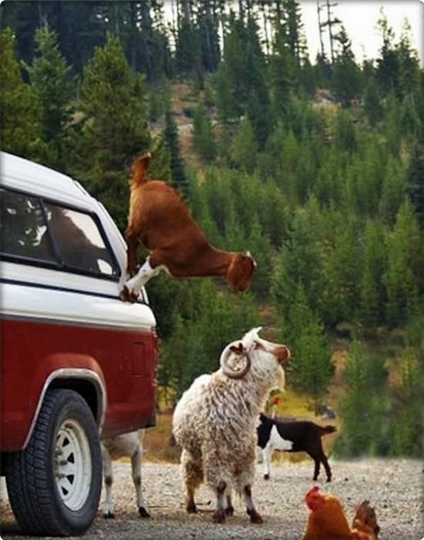 Name:  2.JPG
Views: 264
Size:  66.7 KB