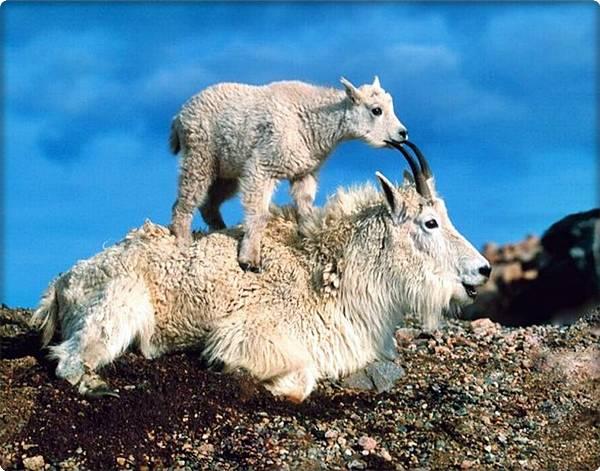 Name:  3.JPG
Views: 269
Size:  61.1 KB