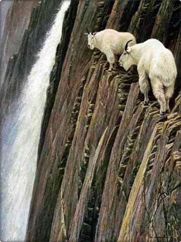 Name:  4.JPG
Views: 305
Size:  78.5 KB