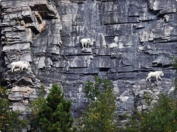 Name:  7.JPG
Views: 257
Size:  74.7 KB