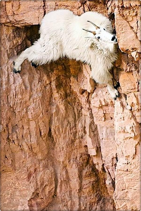 Name:  10.JPG
Views: 260
Size:  105.7 KB