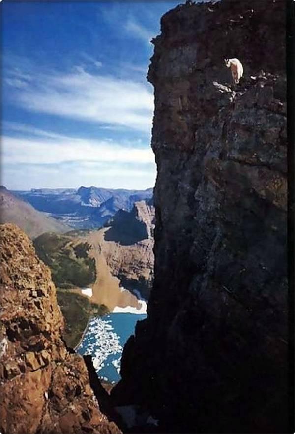 Name:  11.JPG
Views: 267
Size:  60.1 KB