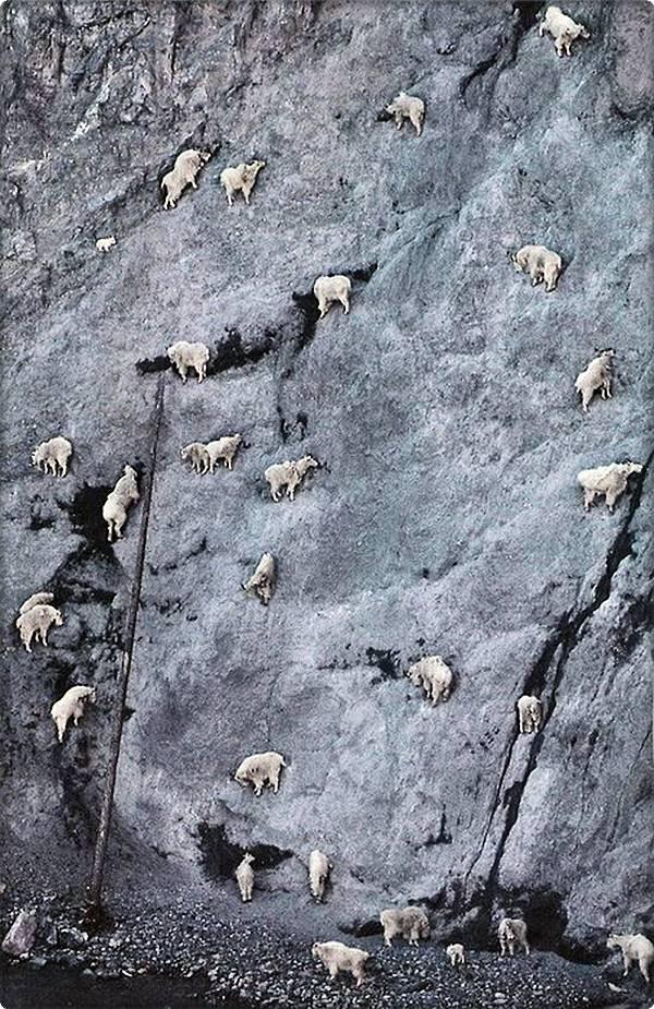 Name:  12.JPG
Views: 257
Size:  159.0 KB