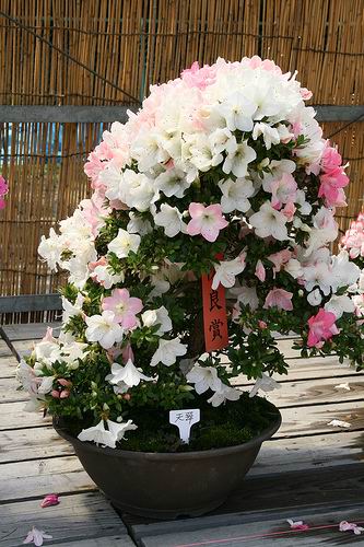 Name:  download_006.jpg
Views: 405
Size:  52.7 KB