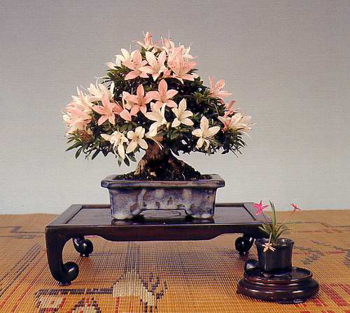 Name:  download_013.jpg
Views: 368
Size:  41.1 KB