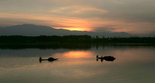 Name:  sa-11.jpg
Views: 949
Size:  27.0 KB