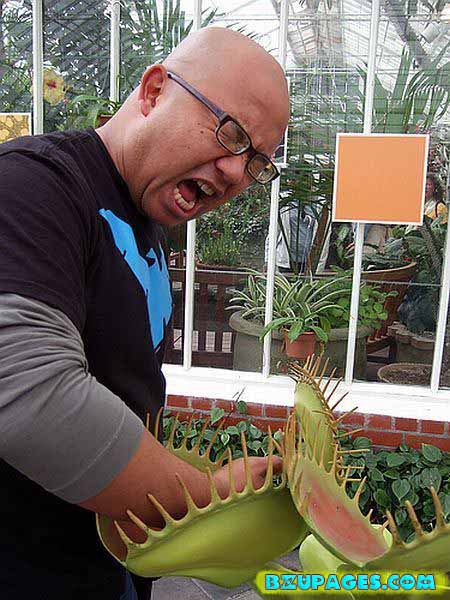 Name:  Pitcher Plants; Dangerous Flesh Eating Plants  (7).jpg
Views: 4100
Size:  76.9 KB