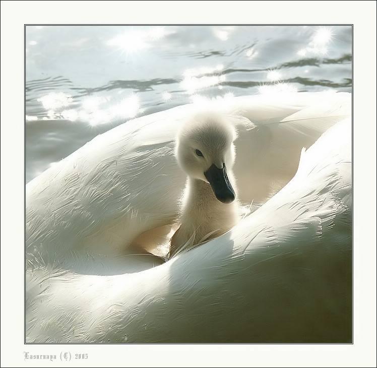 Name:  1.JPG
Views: 382
Size:  62.0 KB