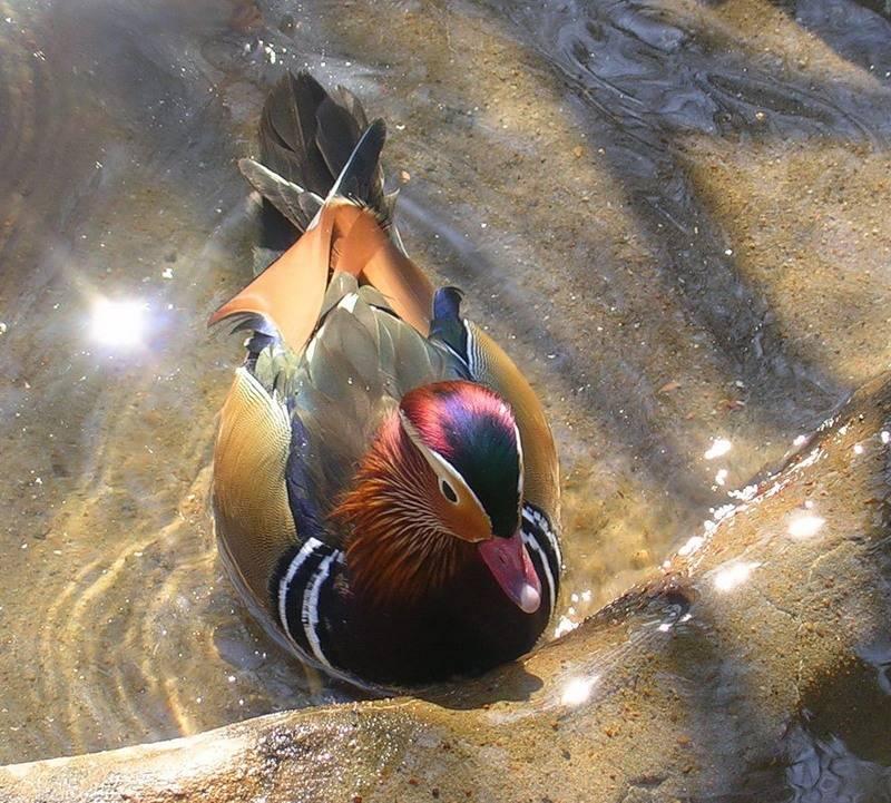 Name:  3.JPG
Views: 372
Size:  114.5 KB