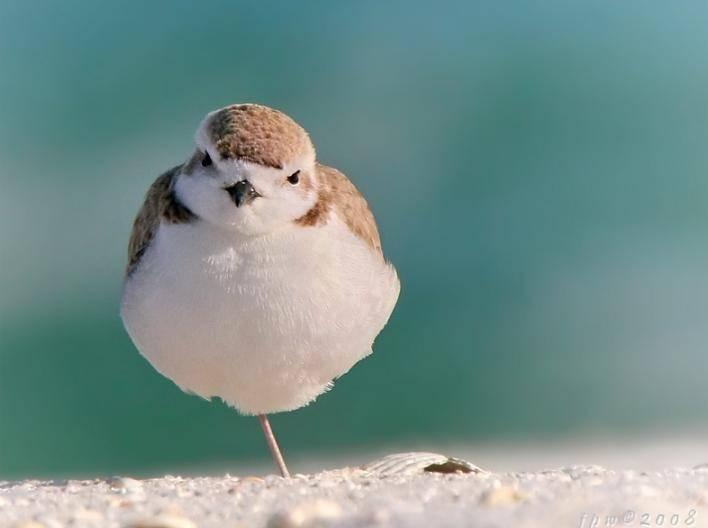 Name:  4.JPG
Views: 411
Size:  22.4 KB