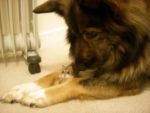 Name:  17.JPG
Views: 371
Size:  24.5 KB