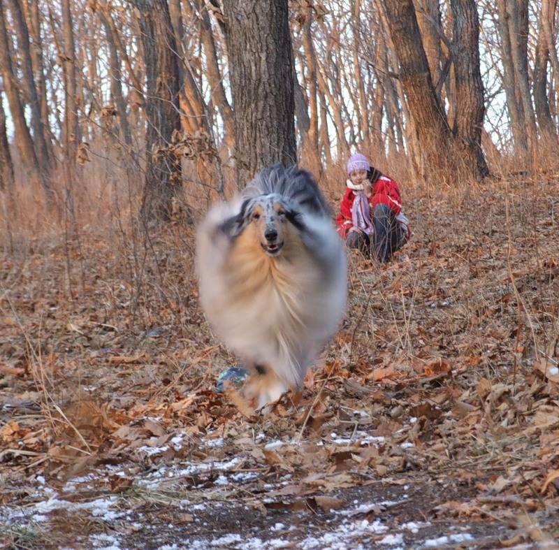 Name:  18.JPG
Views: 418
Size:  144.1 KB