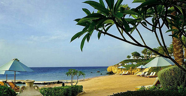 Name:  Sharm El Sheikh - Best Holiday Destination of Egypt (1).jpg
Views: 815
Size:  52.1 KB