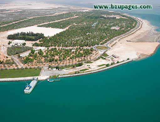 Name:  Abudhabi from Sky (35).jpg
Views: 334
Size:  54.7 KB