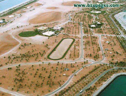 Name:  Abudhabi from Sky (41).jpg
Views: 497
Size:  70.3 KB